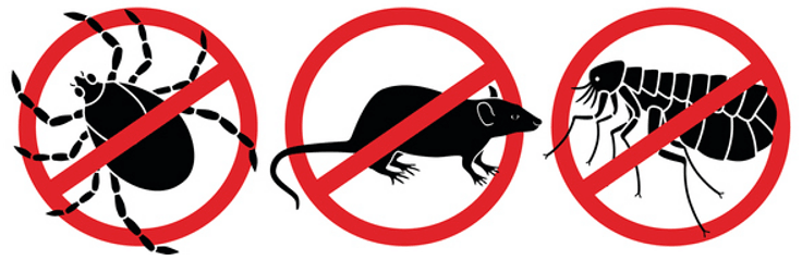 Cairns pest control