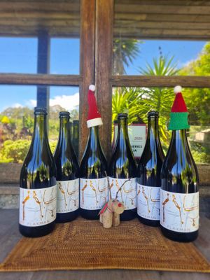 * Sparkling Shiraz Christmas Special