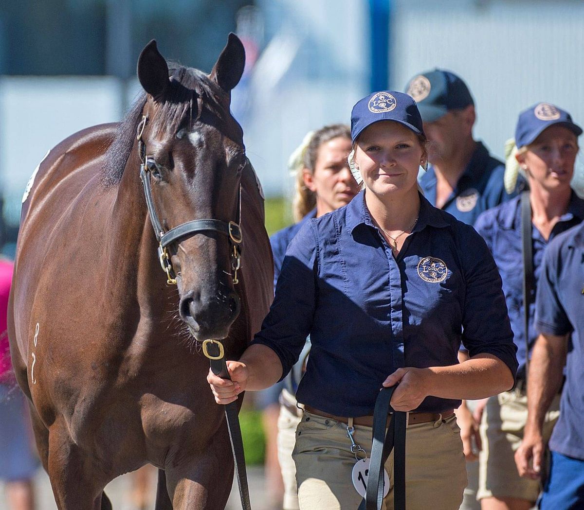 LIME COUNTRY | Sales