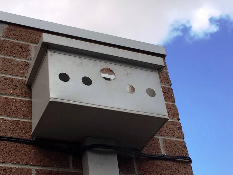 Non-compliant cheesecutter style rain head