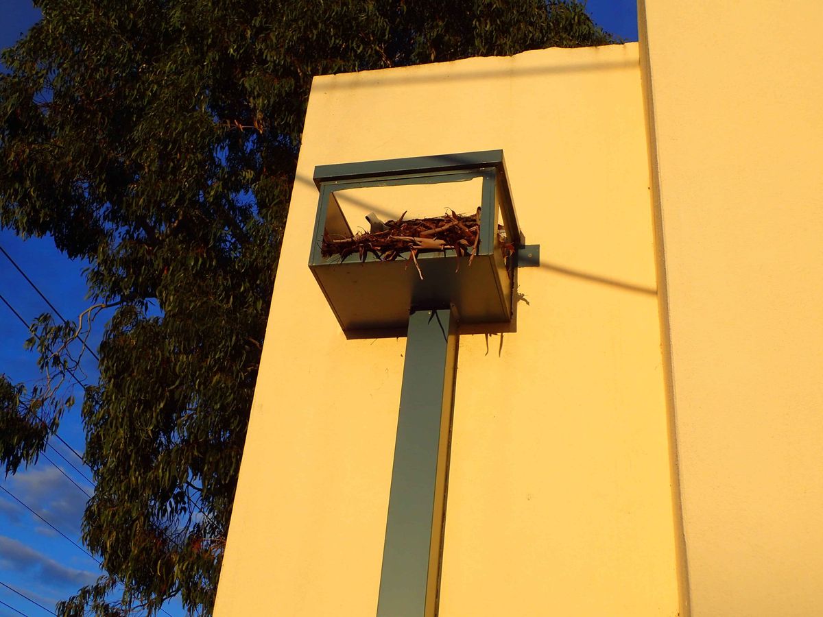 Example of a common non-compliant rain head