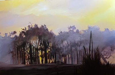 Brookhampton Morning