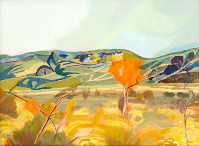 Between Dimalurru (Tunnel Creek) and Fitzroy Crossing