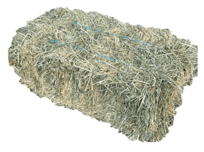 Rhodes Hay