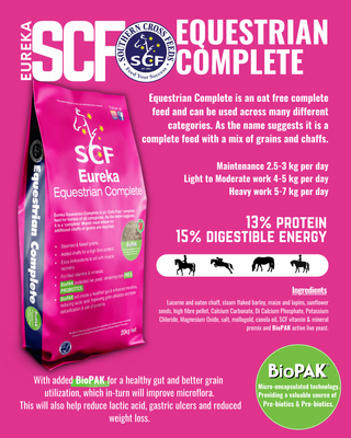 Eureka Equestrian Complete 20kg