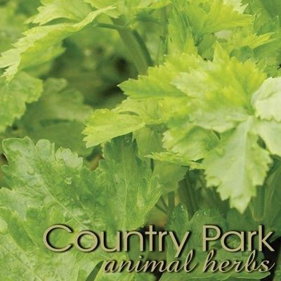 Country Park Celery Seed 1kg