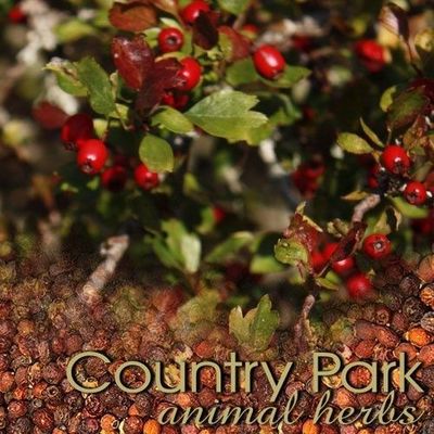 Country Park Hawthorn Berries 1kg