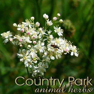 Country Park Meadowsweet 1kg