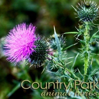 Country Park St MarysThistle 1kg