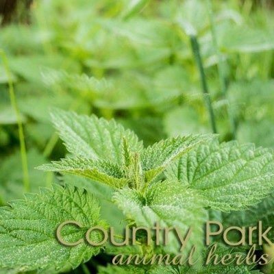 Country Park Nettle Leaf 1kg