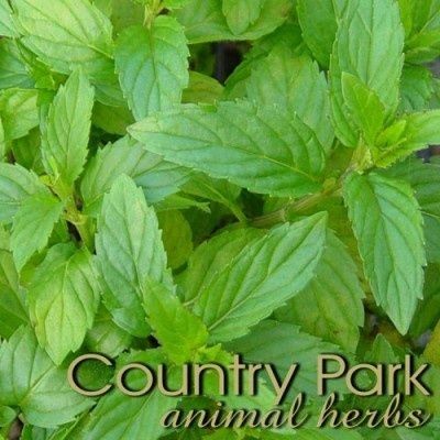 Country Park Peppermint Leaves 1kg