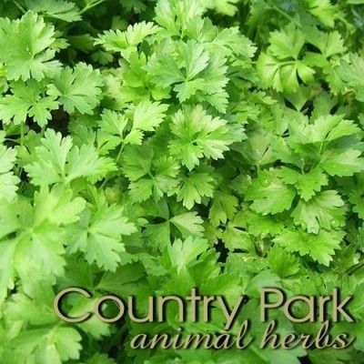 Country Park Parsley Leaf 500g