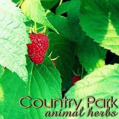 Country Park Raspberry Leaf 1kg