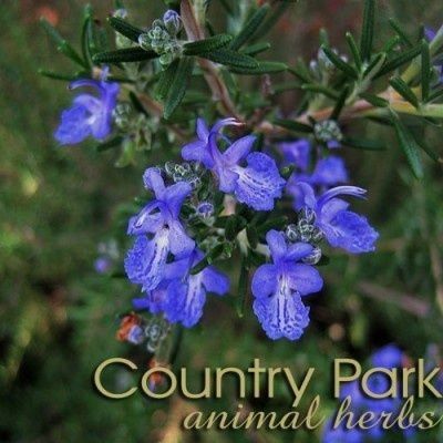 Country Park Rosemary 1kg