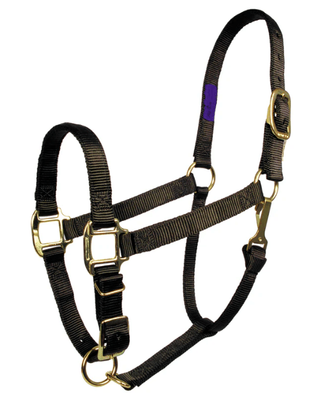 Comfort fit Halter Small