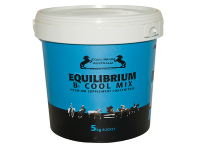 Equilibrium blue 5kg