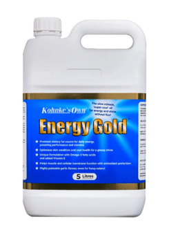 Kohnke&#039;s Energy Gold 5L
