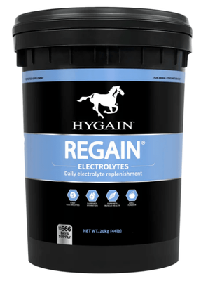 Hygain Regain 20kg