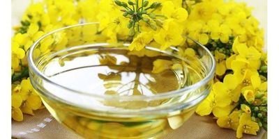 Unrefined Canola Oil 1L