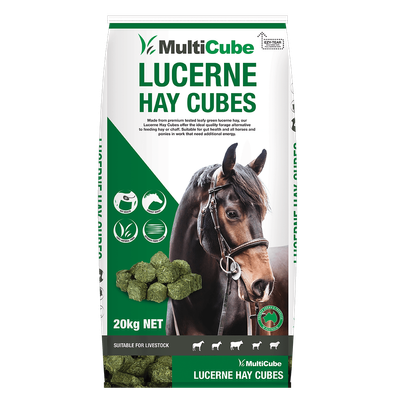 Multicubes Lucerne