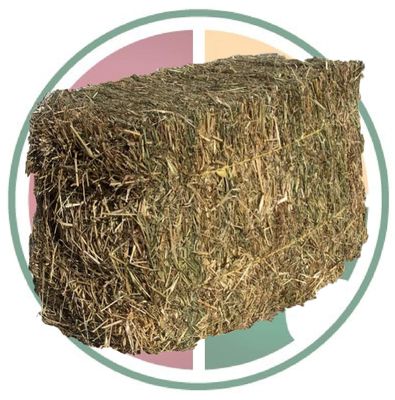 Premium Meadow Hay