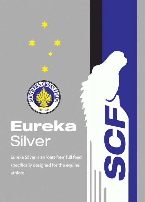 Eureka Silver 20kg