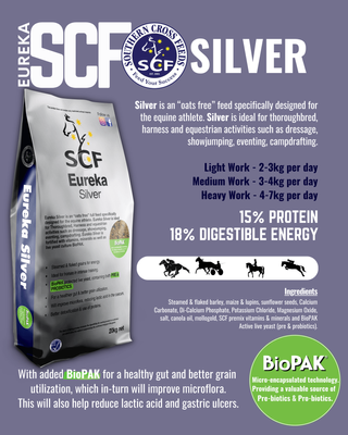 Eureka Silver 20kg