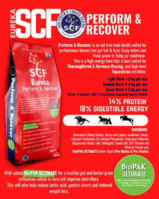 Eureka Performance &amp; Recovery 20kg