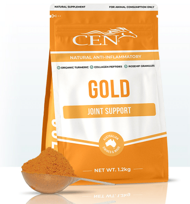 CEN Gold 1.2kg