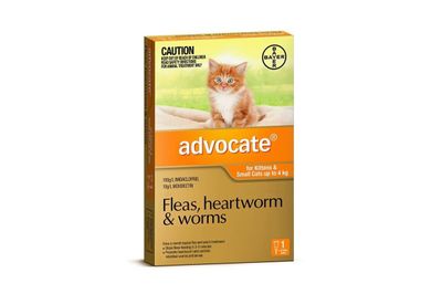 Advocate cat 0-4kg 1s
