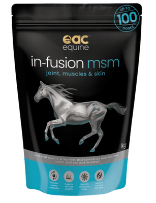 In-Fusion MSM 1kg
