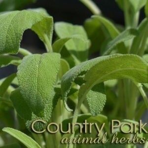 Country Park Sage leaf 1kg