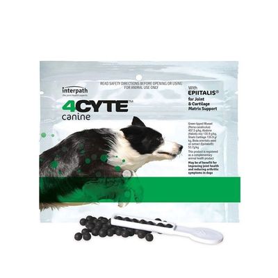 4cyte Canine 100g