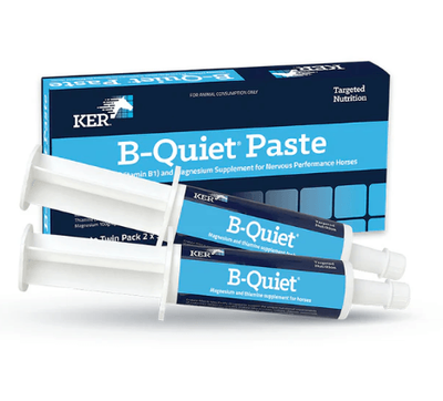 KER B-Quiet Paste twin pack 30g