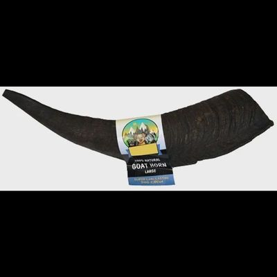Goat Horn Large/Jumbo