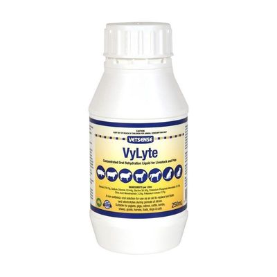 Vetsense VyLyte 250ml