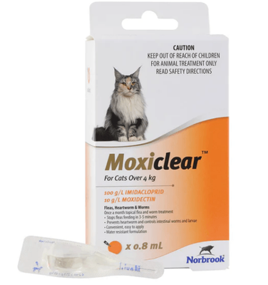 Moxiclear Cat 4kg+ 6 pack
