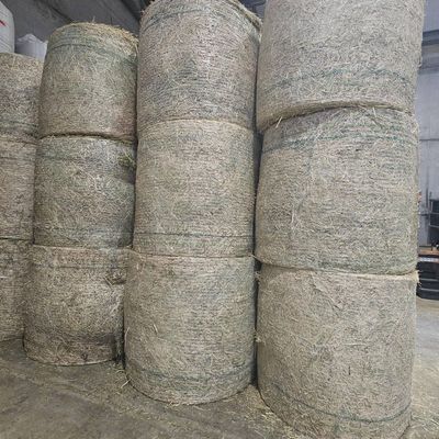 New Season Oaten Roll