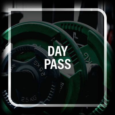 4) Day Pass