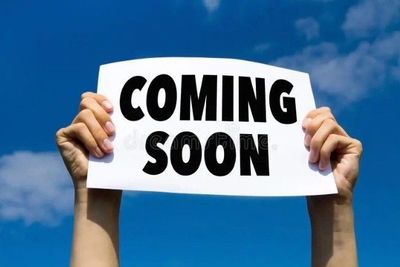 Camper's Choice - The Wanderer