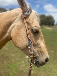 Light tan tack set with turquoise conchos