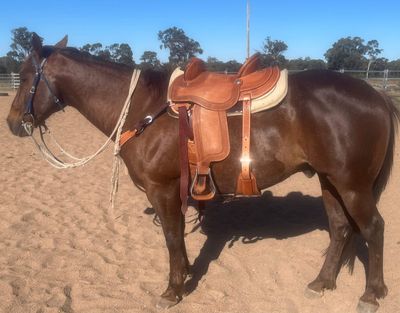 Leather fender saddle 🐎 (Pre-order)