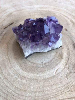 Small Amethyst Cluster