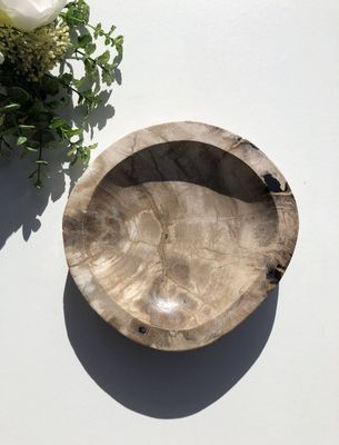 Petrified Wood Bowl