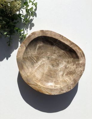 Petrified Wood Bowl