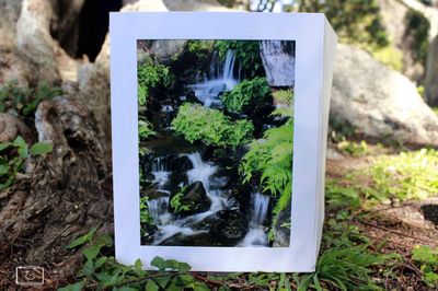 Water fall print