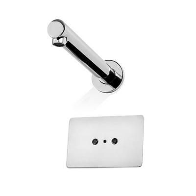 Autoflo - Wall Mounted Sensor Tap - Wall Outlet and Eye Body - Wall Plate without mounting holes - M