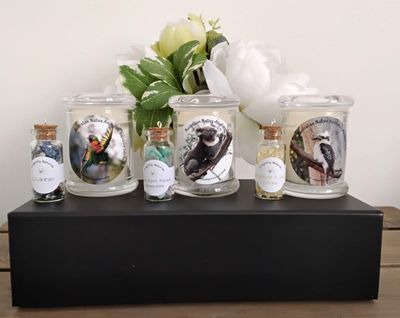 Australian Animal Wisdom Kit