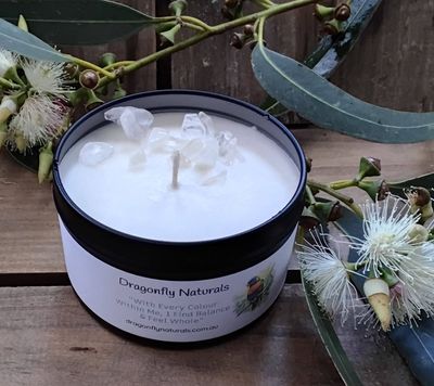 Rainbow Lorikeet Chakra Candle