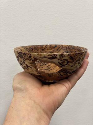 Blackbutt Burl bowl- 12cm